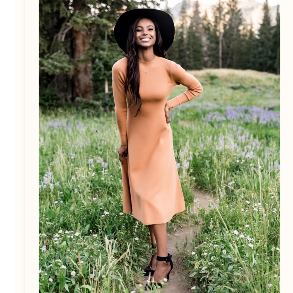 Rachel Parcell Camel  Knit Long Sleeve Fit and Flare‎ Sweater Midi Dress, XL